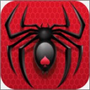 spider solitaire