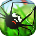 蜘蛛的冒险免费版V1.3.50