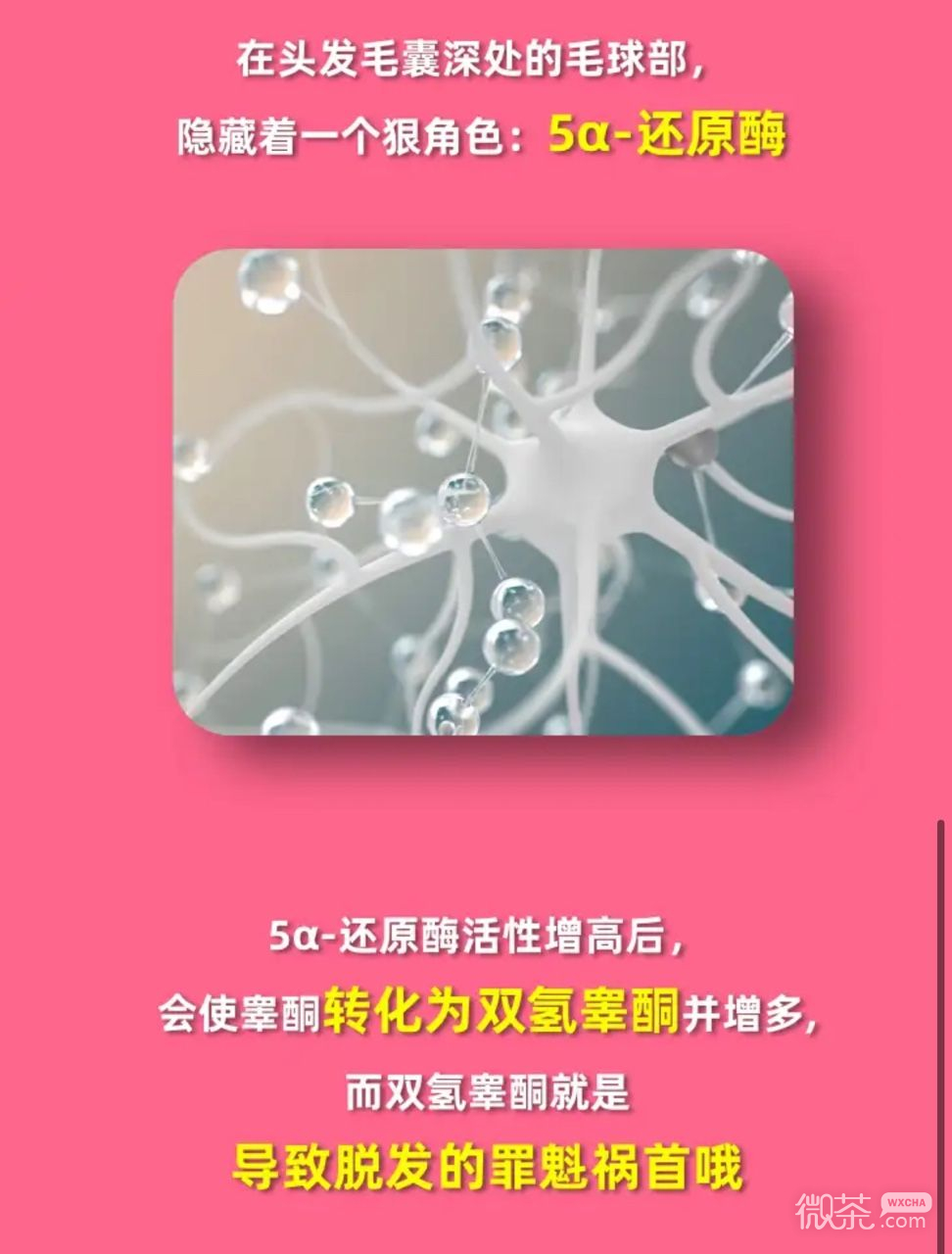 《淘宝》大赢家1月5日为什么有人秃头但眉毛胡子却超浓答案详情2024