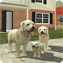 狗狗模拟器（Dog Sim）最新版