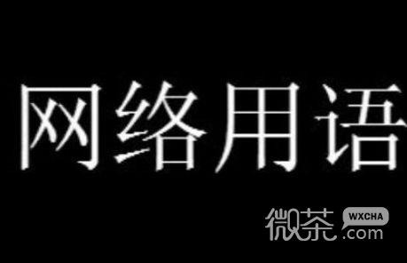 天选打工人梗是什么意思详情